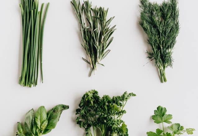 Herbs And Other Remedies To Decrease Stress